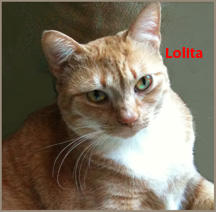 Lolita aka "Lola" - Adopted!~!