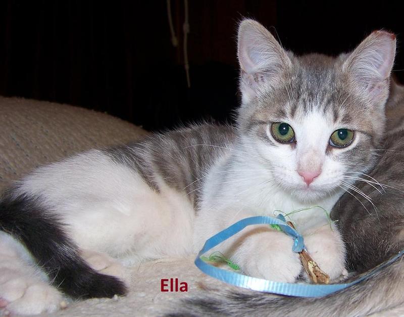 Ella