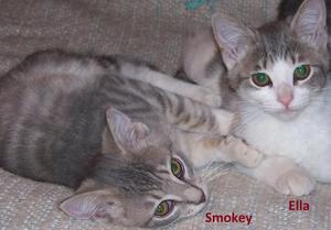 Smokey and Ella