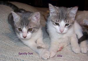 Spotty Sue and Ella