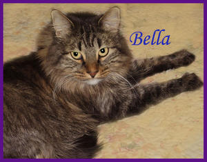 Bella beautiful