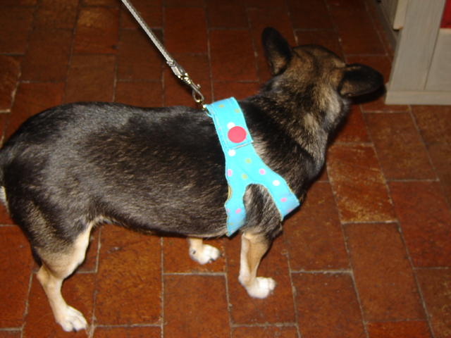 soft harnesses 008