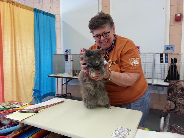 Amber with Judge at Cat Show