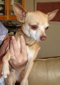 Peanut