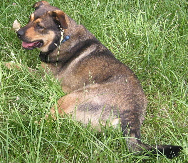 Charlie