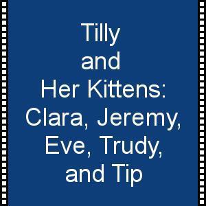 Tilly and Her Kittens Video--Adopted!!