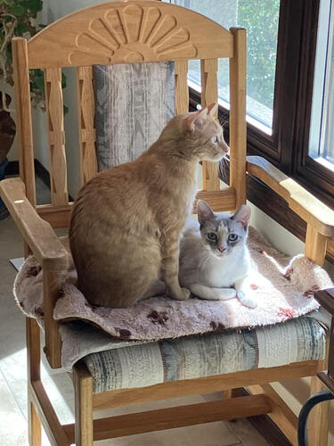 Red and Lacey