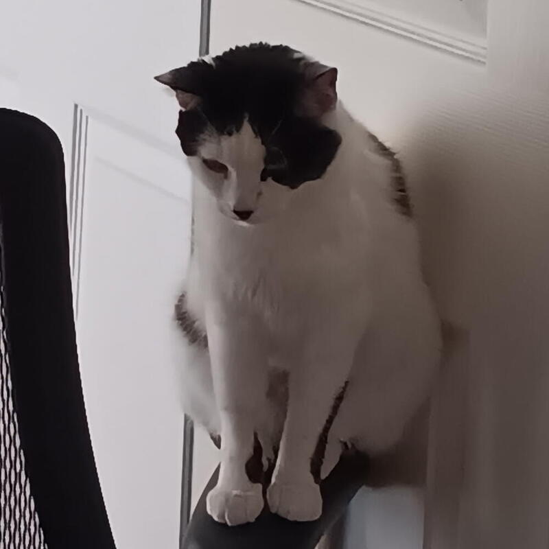 Pixel