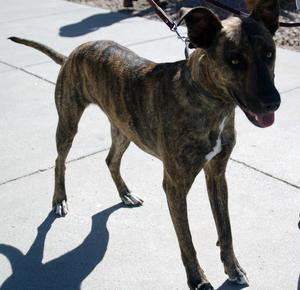 AudreyNel - Adopted!