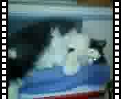 Baba's Video