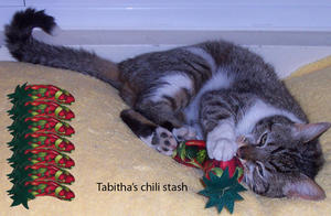Tabitha--adopted