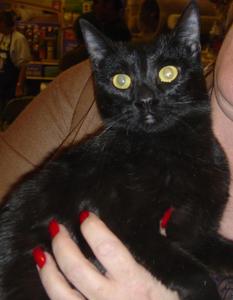 Silhouette--Adopted!!