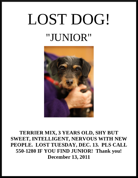 lost dog flyer for Junior