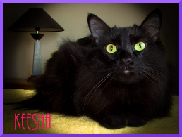 image of Keesha