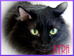 image of Kyra