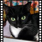 image of Tilly