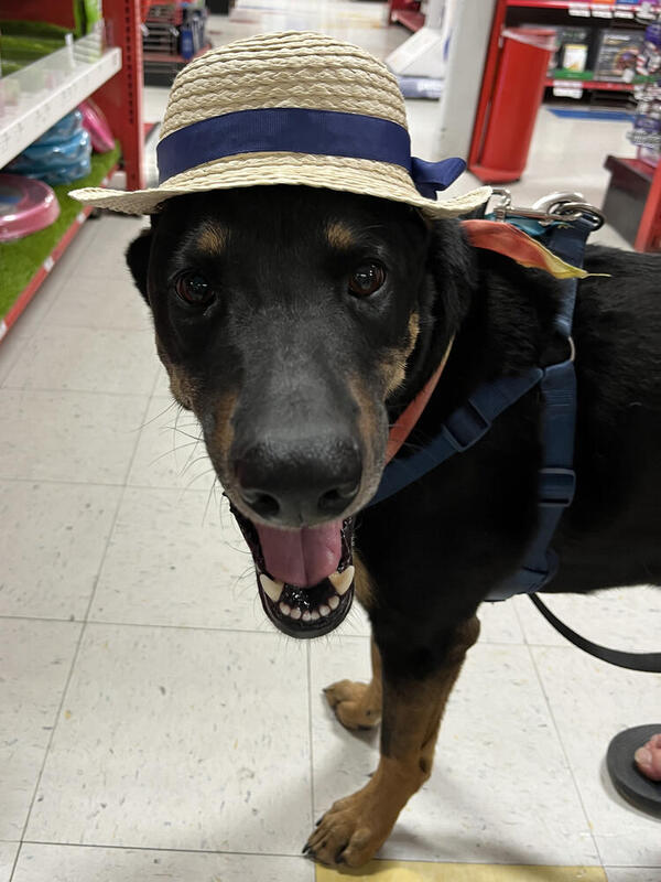 Penny In Her New Hat