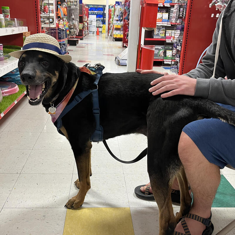 Penny In Her New Hat